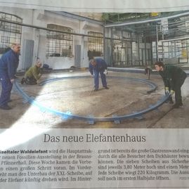 Referenzen von Metallbau Preißer & Söhne aus Mücheln/ G. - Das neue Elefantenhaus Bild 01